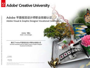 上海山木培训 掌握图ps、AI、CDR，成就广告设计精英